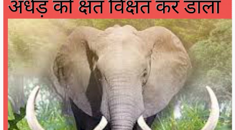 जंगली हाथी ने घर तोड़कर अधेड़ को किया क्षत विक्षत 