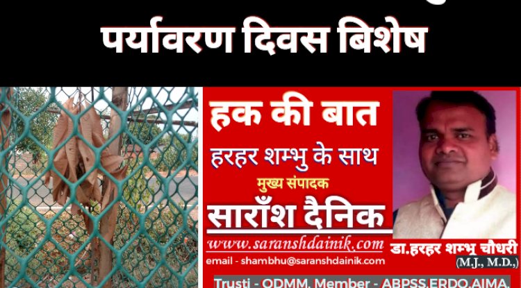 पर्यावरण की यह कैसी सुरक्षा 