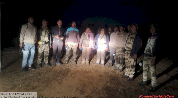 हमीरपुर में हाथी होने का अफवाह 
