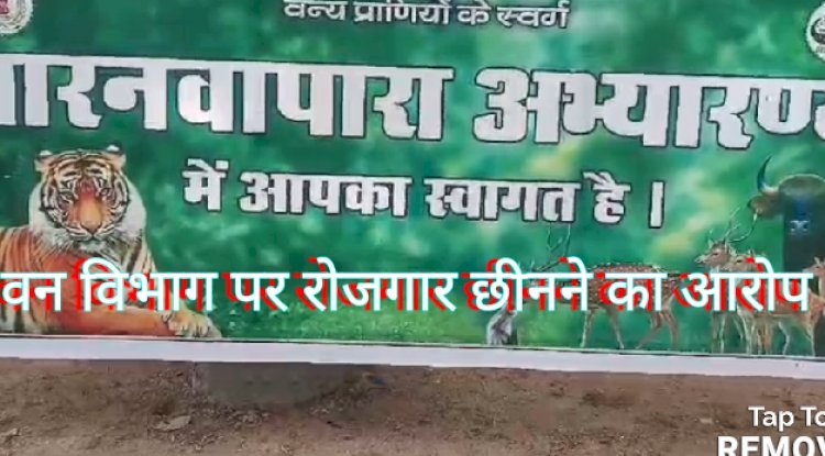 बानरवापारा अभ्यारण्य में जिप्सी चालकों को रोजगार छिनने का डर 