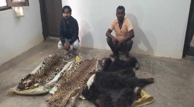 हाथी दांत और तेंदुए भालू के खाल के साथ पांच तस्कर गिरफ्तार