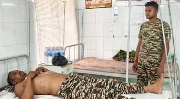 मधुमक्खी के हमले से घायल जवान आइईडी ब्लास्ट से बाल बाल बचा