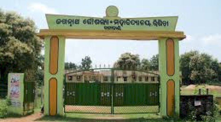 कॉलेज छात्रा से रंगदारी मांगने के आरोप में डेटा एंट्री ऑपरेटर गिरफ्तार