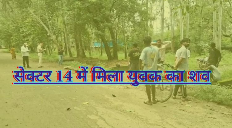सेक्टर 14 में  मिला युवक का शव 