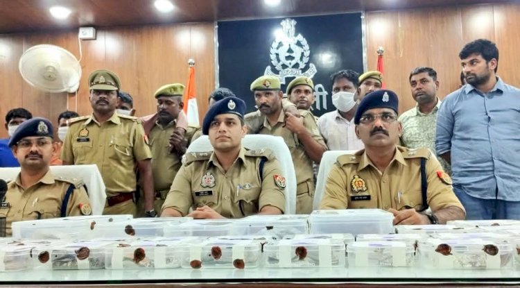 पूर्वांचल में हिंसक डकैतों का दहशत 6 गिरफ्तार 