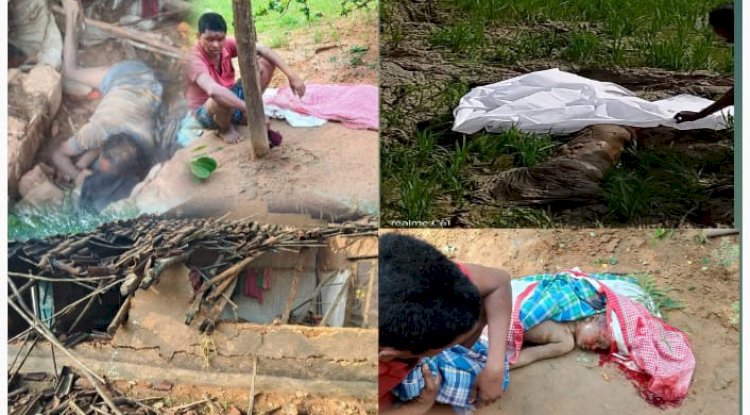 लैलूंगा वन क्षेत्र में हाथियों का आतंक  एक ही रात में तीन मौतें