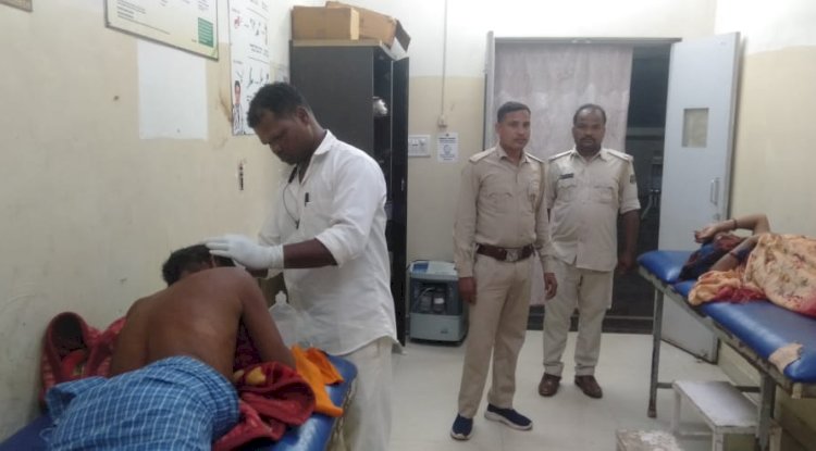 हाथी के हमले से दंपत्ति घायल