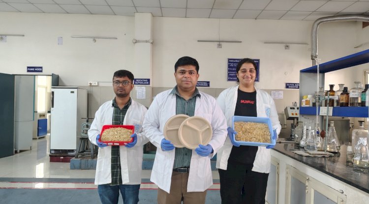 आईआईटी रूड़की ने गेहूं के भूसे से बनाए परिवेश अनुकू पत्तल