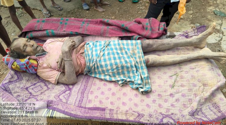 हाथी के हमले से 56 वर्षीय बृद्ध की मौत