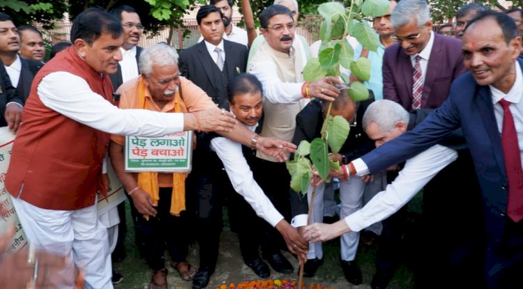 उच्च न्यायालय में दिखा प्रकृति प्रेम लगाए गए हरिशंकरी पौधे
