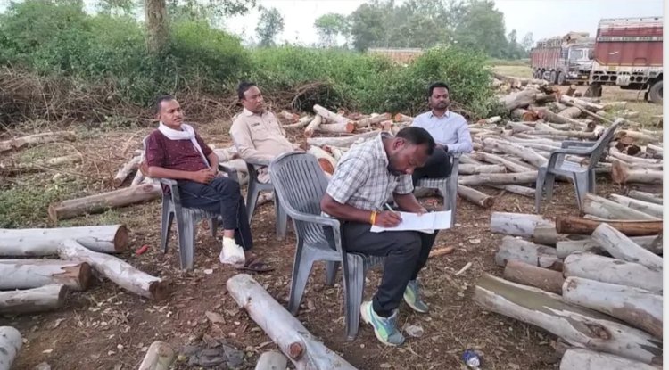 तीन ट्रक अवैध लकड़ी सहित जब्त चालक फरार