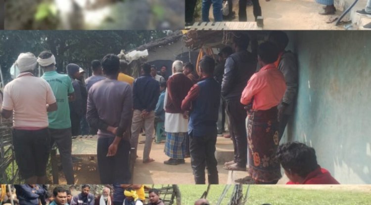 हाथी के हमले से उप सरपंच की मौत