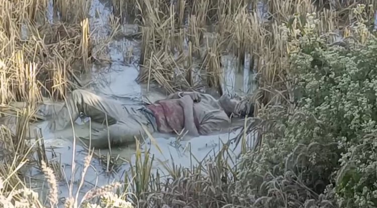 खेत में मिला व्यक्ति का शव
