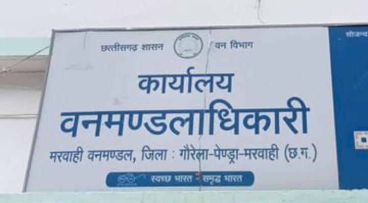 मरवाही वन मंड़ल में भ्रष्टाचार चरम पर