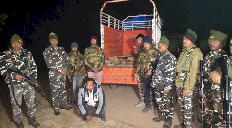 श्रावस्ती/बलरामपुर सीमा क्षेत्र में पकडी गई अवैध लकड़ी