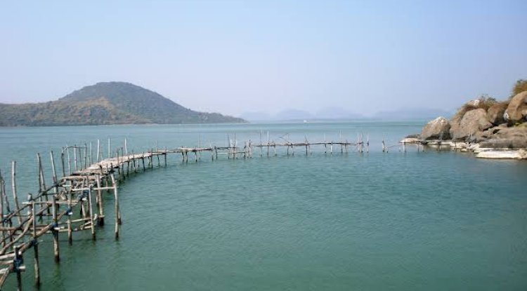 चिलिका के संरक्षण व विकास के लिए 2000 करोड़ रुपये की नई योजना