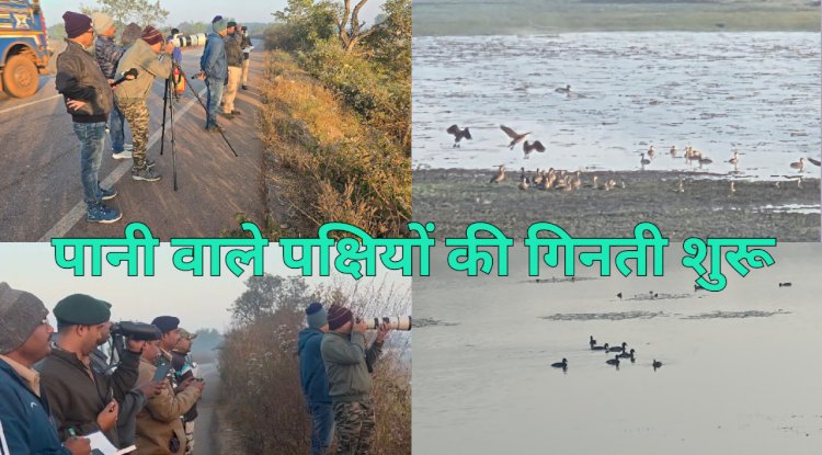 वन विभाग द्वारा पानी वाले पक्षियों की गिनती शुरू