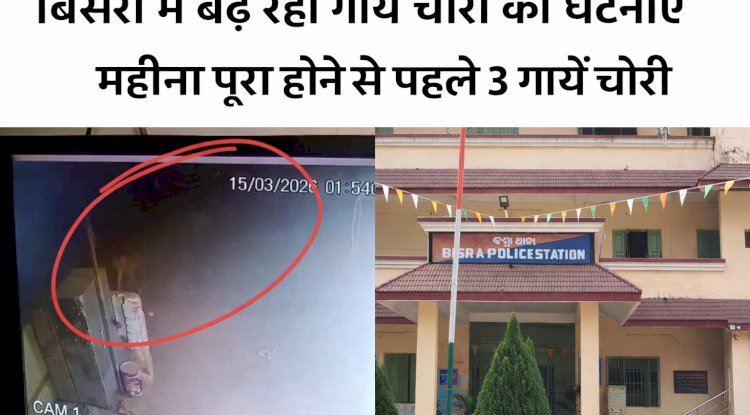 बिसरा में बढ़ रही गाय चोरी की घटनाएं, महीना पूरा होने से पहले 3 गायें चोरी