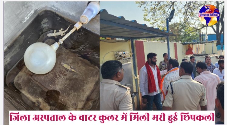 जिला अस्पताल के वाटर कुलर में मिली मरी हुई छिपकली