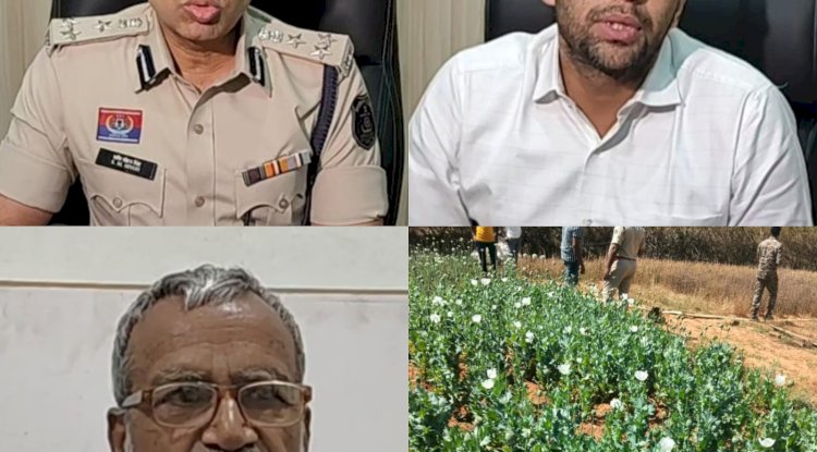 रायगढ़  बनांचल में सफेद जहर का बढ़ता साम्राज्य 