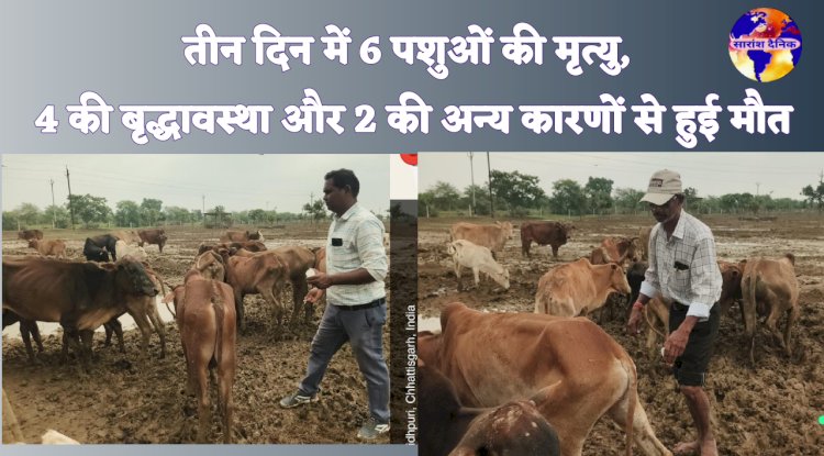 तीन दिन में 6 पशुओं की मृत्यु 4 की बृद्धावस्था और 2 की अन्य कारणों से हुई मौत
