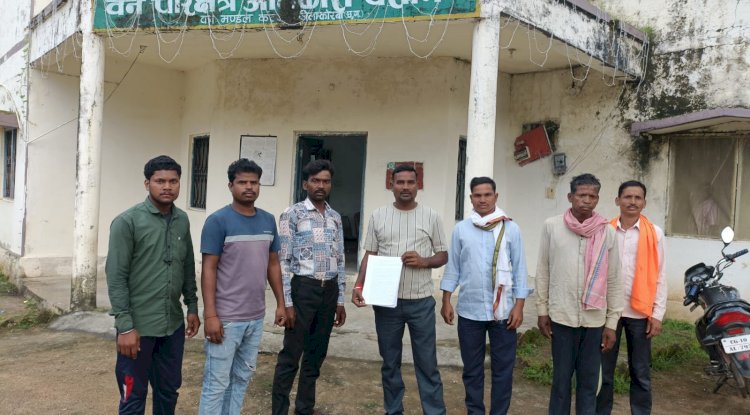 पसान में जंगल का खुलेआम कत्ल
