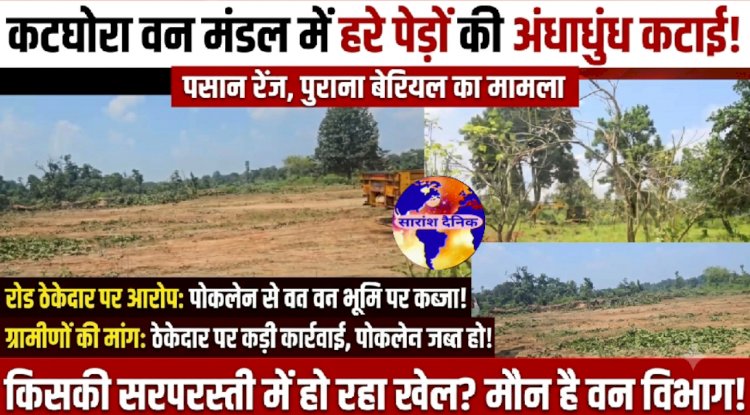 हरे भरे पेड़ों की कटाई पर उठा सवाल