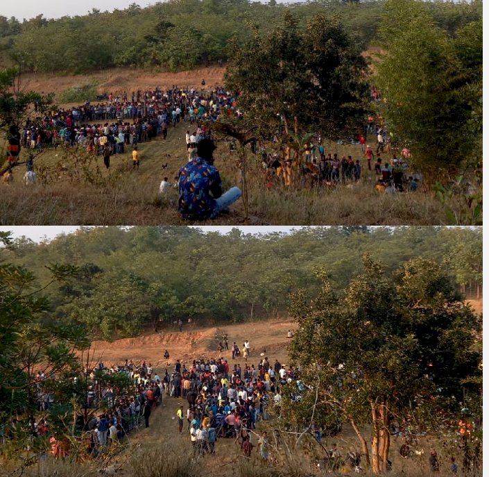 महामारी पर भारी मुर्गा पाडा़