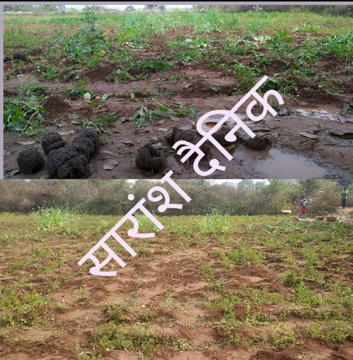 लुकुमबेडा़ पंचायत में दूसरी बार हाथियों का ताडंव 