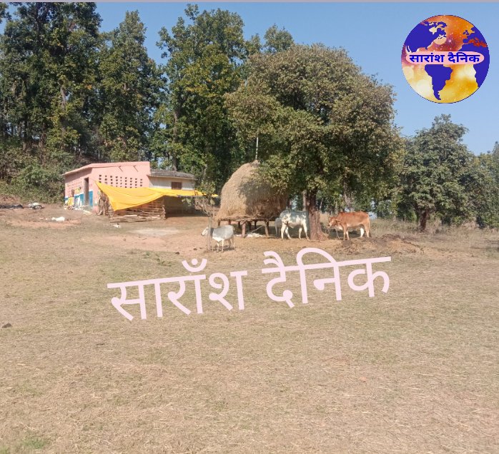 ना बिजली ना पानी फिर कैसा विकास 
