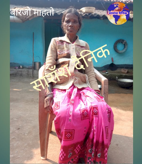 हाथी के हमले से बृद्धा घायल