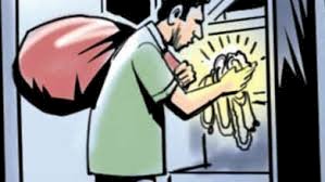 सोरडा़ एवं बारीलेप्पटा में  बढ़ रही है चोरी की घटनाएं 