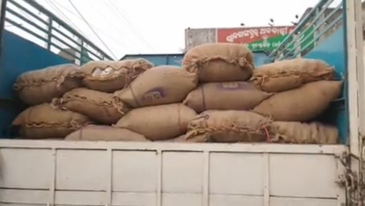 राजगांगपुर में महुआ के साथ वाहन जप्त 