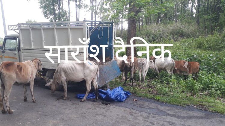 गौतस्करी कर लेजाता वाहन दुर्घटना ग्रस्त 