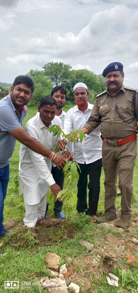 बीजद की 25वीं वर्षगांठ  पौधारोपण कर मनाई गई 