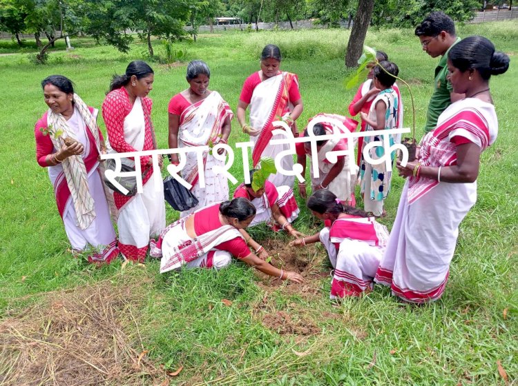 विश्व आदिवासी दिवस के उपलक्ष्य में बृक्षा रोपण किया गया