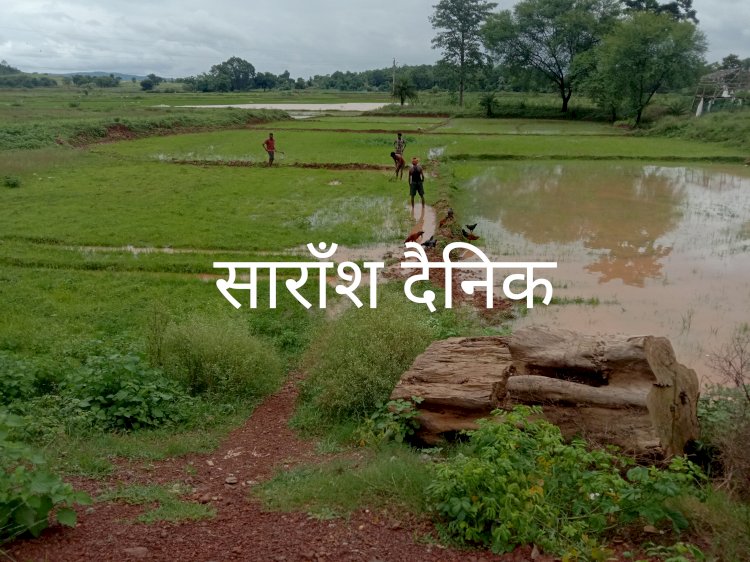 बारिश ने किसानों में जगाई आश