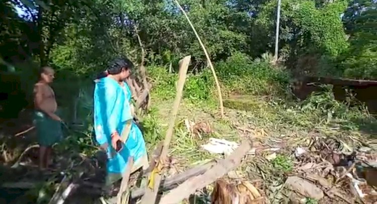तालचेर शहर में जंगली हाथी का आतंक