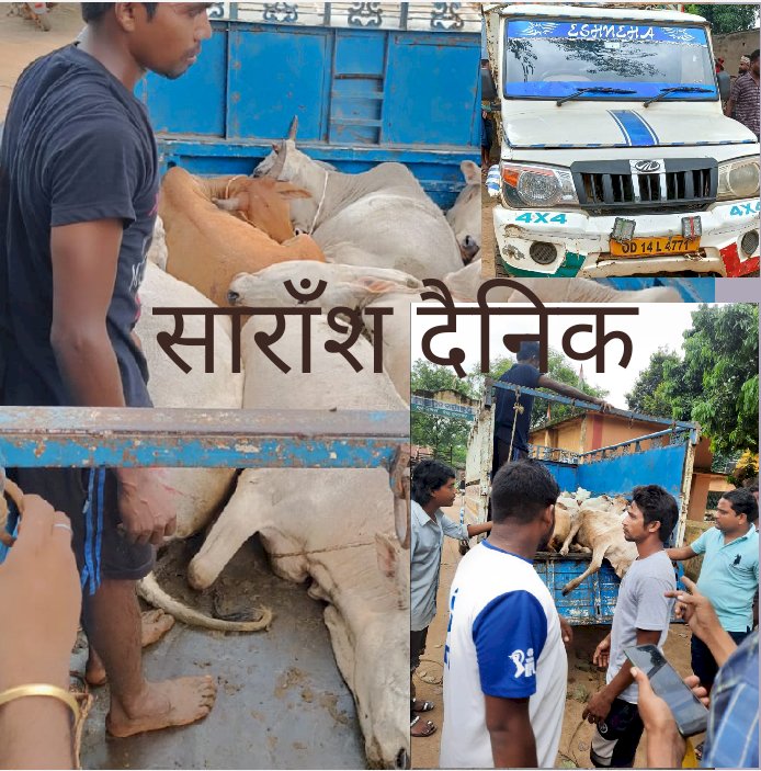 कब थमेगा गौ तस्करी 