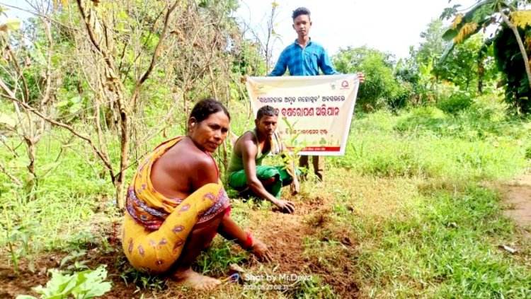 विकास फाउंडे़सन ट्रस्ट ने लगवाए 1500 पौधे