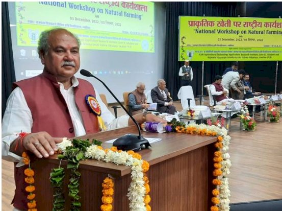 प्राकृतिक खेती में लागत कम और उपज की कीमत अधिक