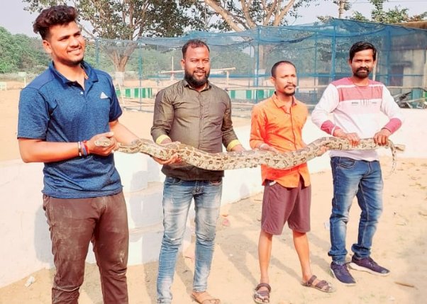 अजगर को देखने स्वयं आए उपजिलाधिकारी 