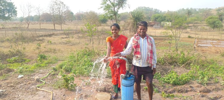डीबीएफ और नाबार्ड की परियोजना से 400 से ज्यादा किसान लाभान्वित 