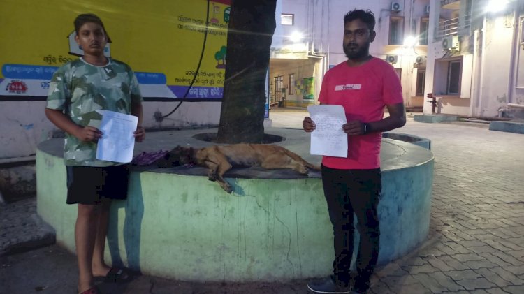स्टाफ नर्स की लापरवाही से हुई कुत्ते की मौत 
