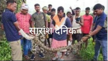 8 फीट के अजगर का बचाव किया गया 