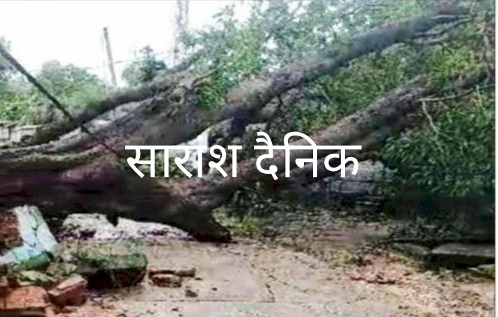 पेड़ गिरने से सड़क अवरुद्ध 