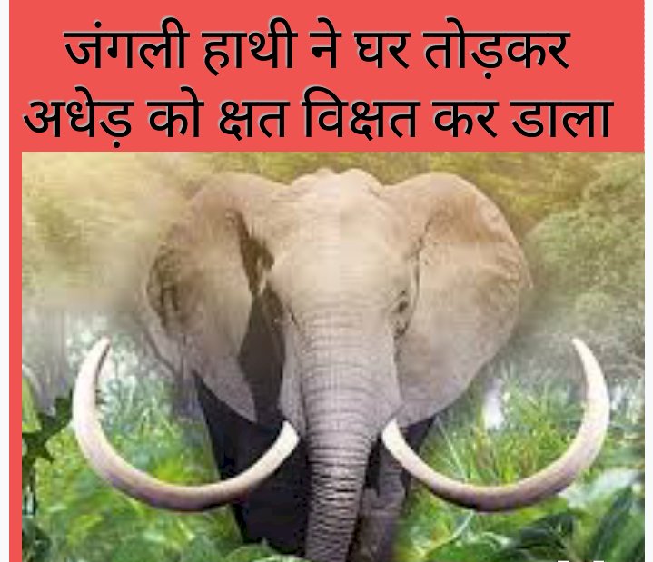 जंगली हाथी ने घर तोड़कर अधेड़ को किया क्षत विक्षत 