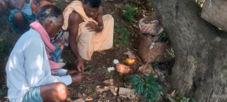 नुआखाई की तैयारी शुरू 