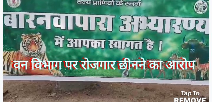 बानरवापारा अभ्यारण्य में जिप्सी चालकों को रोजगार छिनने का डर 
