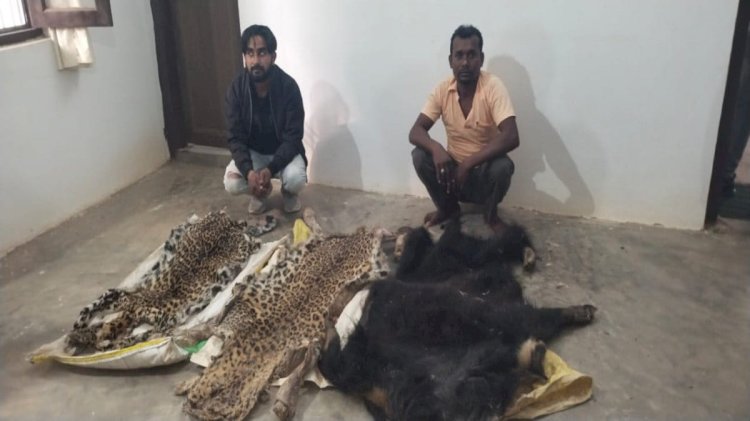 हाथी दांत और तेंदुए भालू के खाल के साथ पांच तस्कर गिरफ्तार